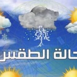 images (20)